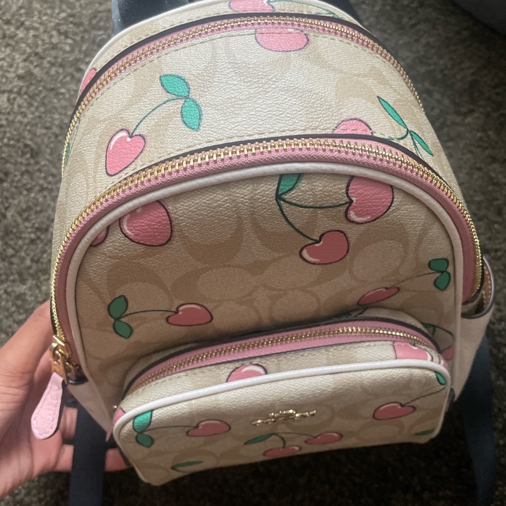Coach bag